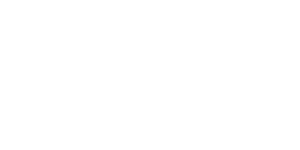 Amazon Fire Stick